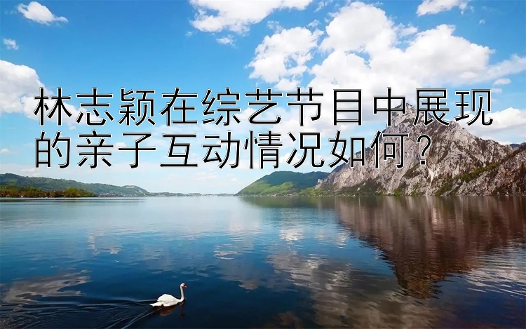 林志颖在综艺节目中展现的亲子互动情况如何？