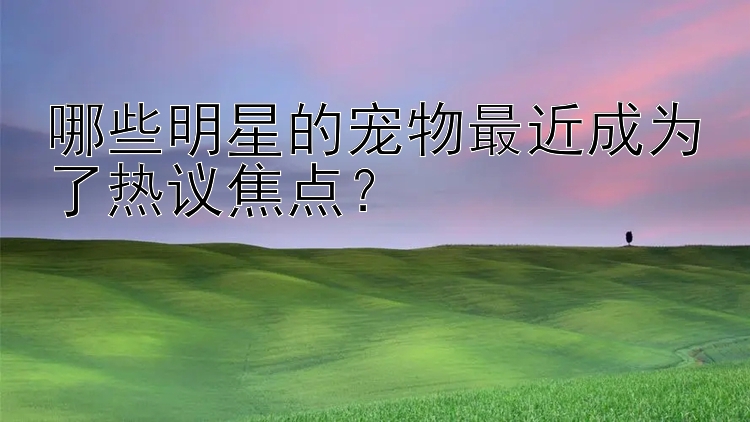 哪些明星的宠物最近成为了热议焦点？