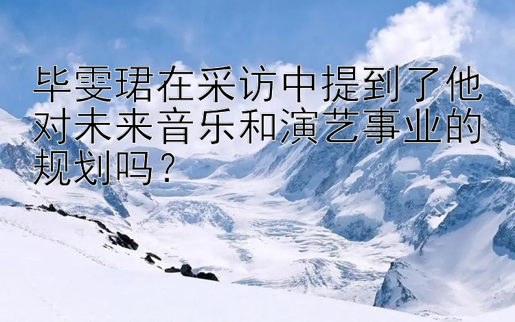 毕雯珺在采访中提到了他对未来音乐和演艺事业的规划吗？