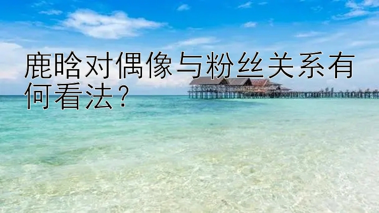 鹿晗对偶像与粉丝关系有何看法？