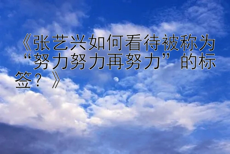 《张艺兴如何看待被称为“努力努力再努力”的标签？》