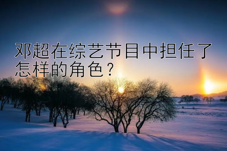 邓超在综艺节目中担任了怎样的角色？