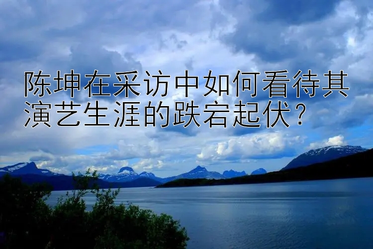 陈坤在采访中如何看待其演艺生涯的跌宕起伏？