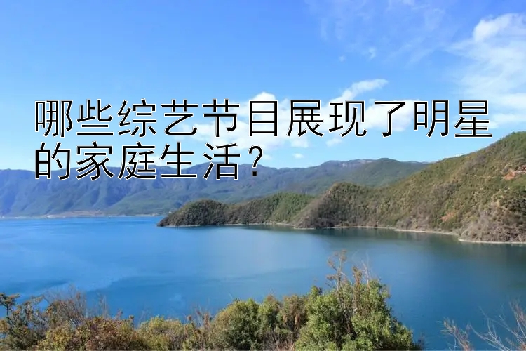 哪些综艺节目展现了明星的家庭生活？