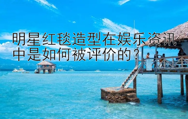 明星红毯造型在娱乐资讯中是如何被评价的？