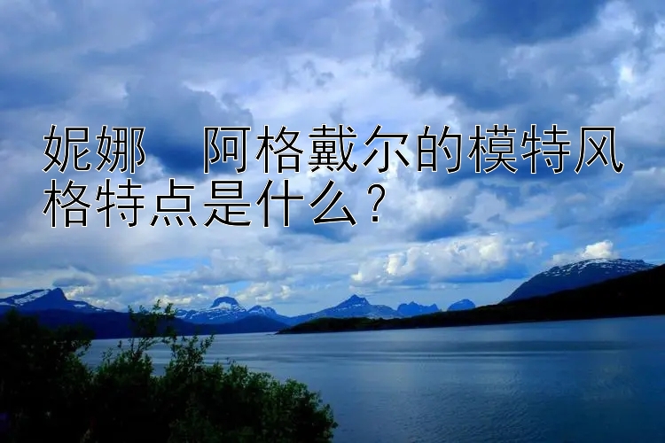 妮娜・阿格戴尔的模特风格特点是什么？