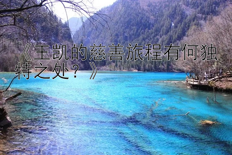 《王凯的慈善旅程有何独特之处？》