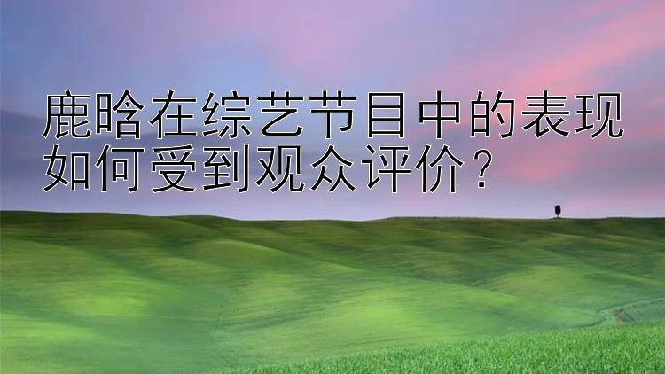 鹿晗在综艺节目中的表现如何受到观众评价？