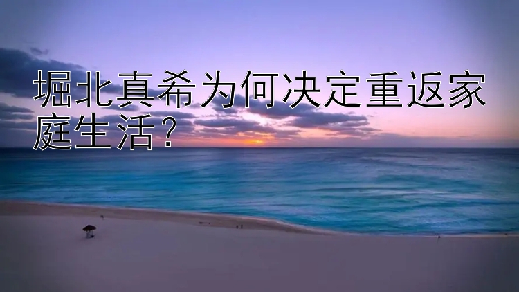 堀北真希为何决定重返家庭生活？