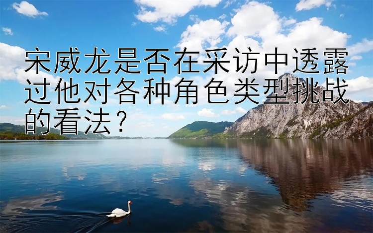 宋威龙是否在采访中透露过他对各种角色类型挑战的看法？