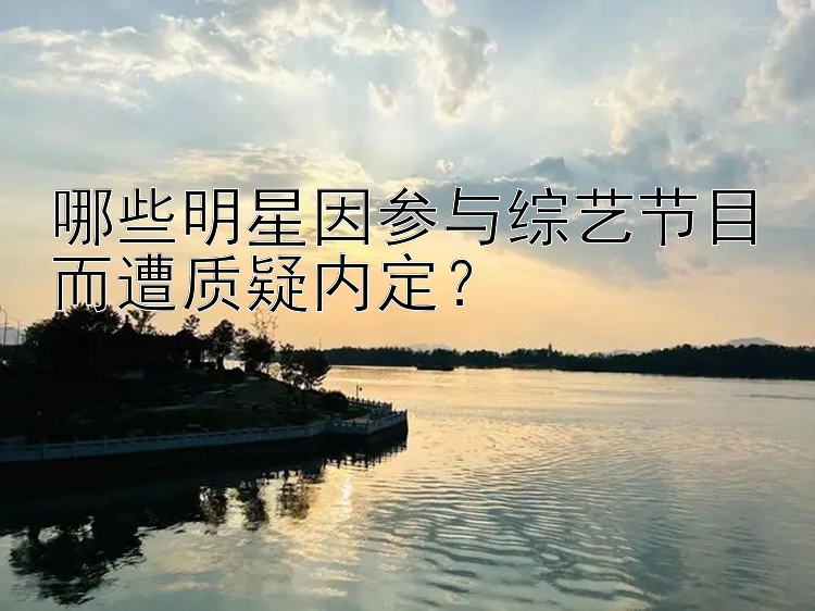 哪些明星因参与综艺节目而遭质疑内定？