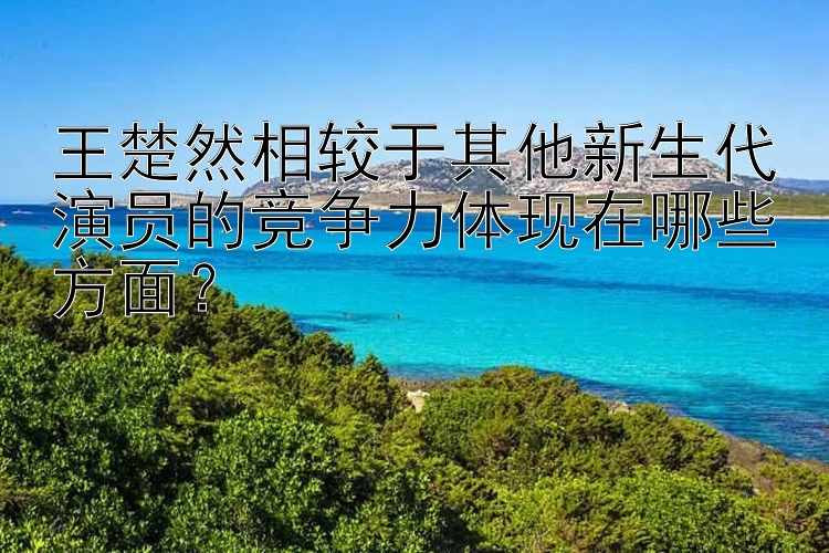 王楚然相较于其他新生代演员的竞争力体现在哪些方面？