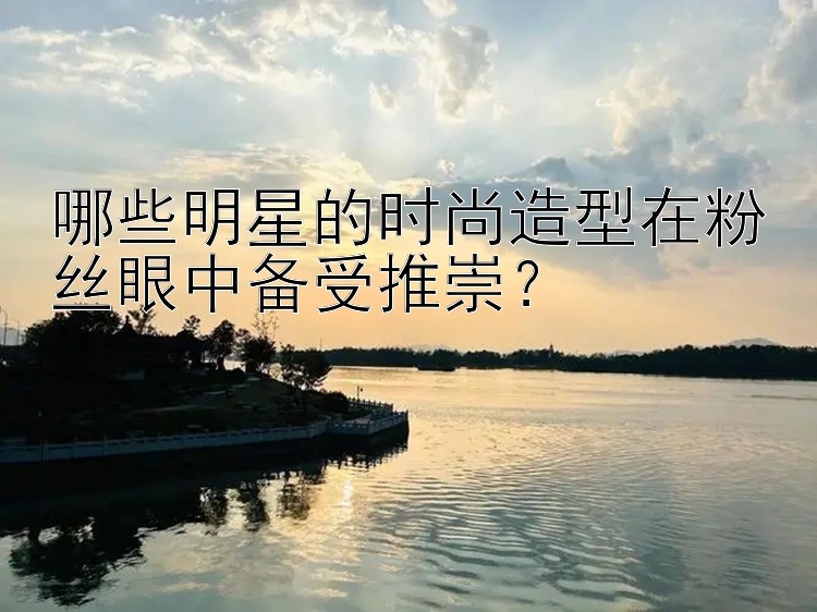 哪些明星的时尚造型在粉丝眼中备受推崇？