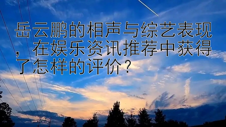 岳云鹏的相声与综艺表现，在娱乐资讯推荐中获得了怎样的评价？