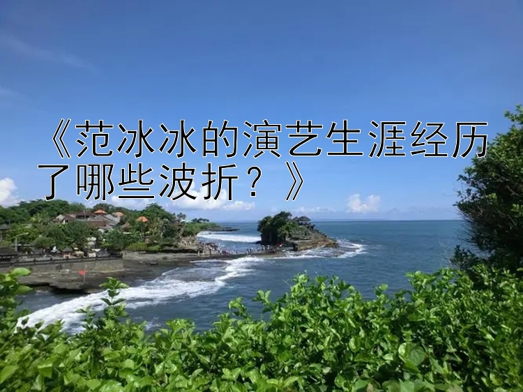 《范冰冰的演艺生涯经历了哪些波折？》