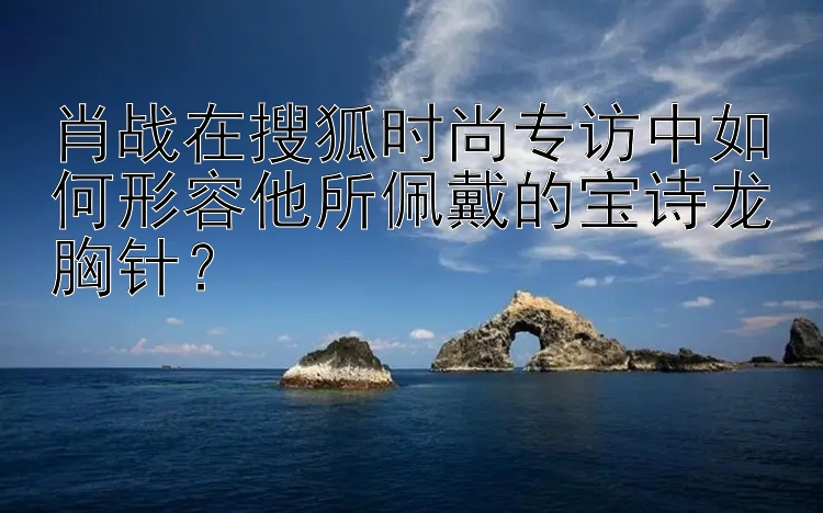 肖战在搜狐时尚专访中如何形容他所佩戴的宝诗龙胸针？