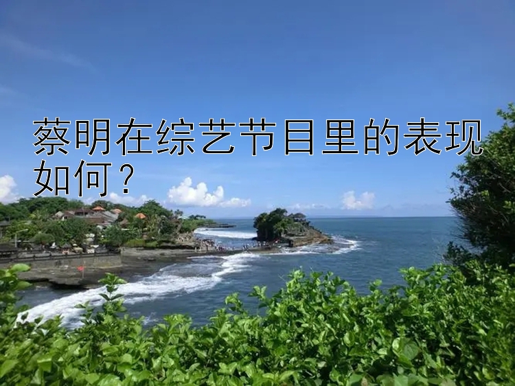 蔡明在综艺节目里的表现如何？