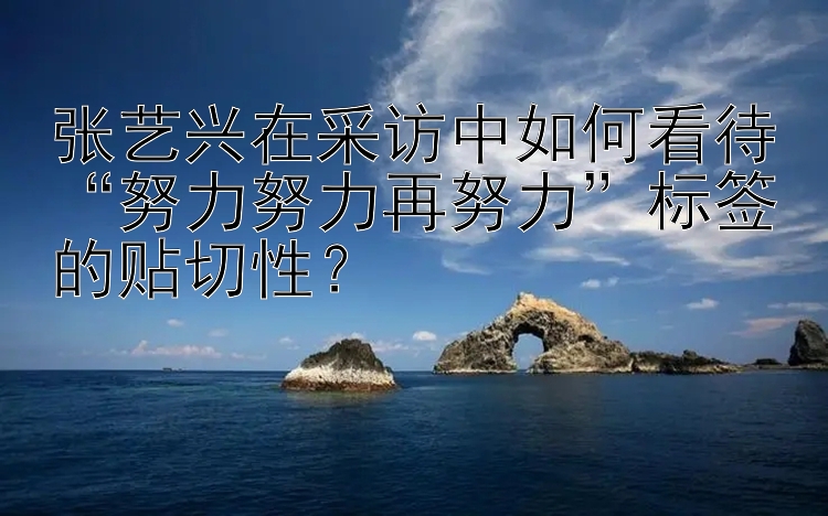 张艺兴在采访中如何看待“努力努力再努力”标签的贴切性？