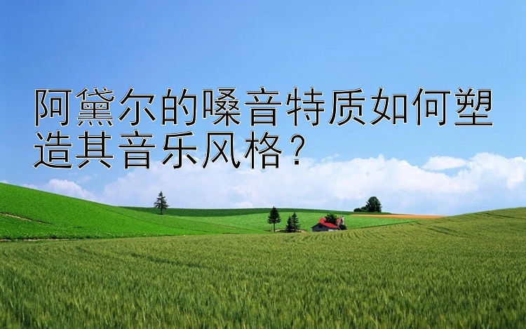 阿黛尔的嗓音特质如何塑造其音乐风格？