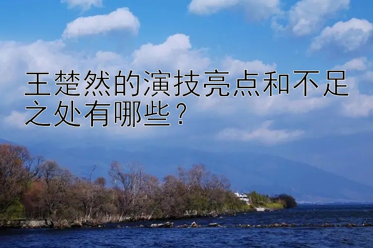 王楚然的演技亮点和不足之处有哪些？