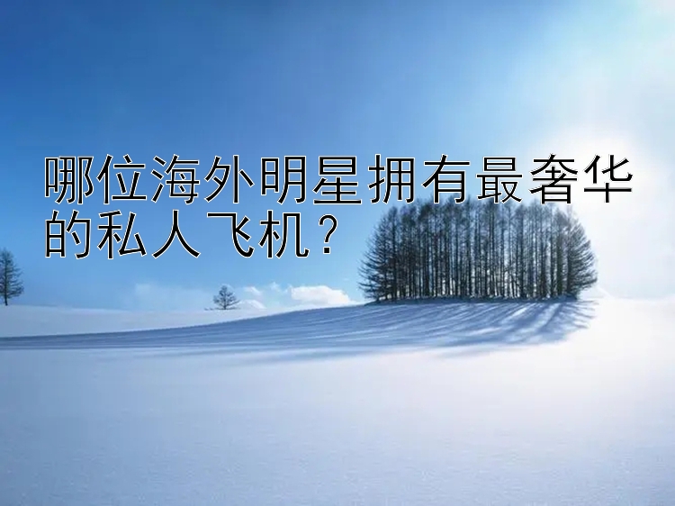 哪位海外明星拥有最奢华的私人飞机？