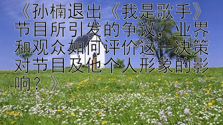 《孙楠退出《我是歌手》节目所引发的争议，业界和观众如何评价这一决策对节目及他个人形象的影响？》